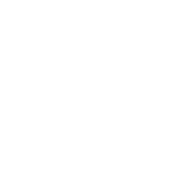 naoko logo alpha white